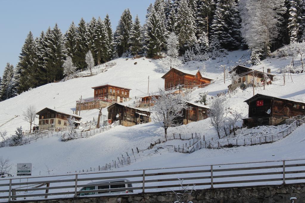 Kuspuni Dag Evi Villa Çamlıhemşin Exterior foto